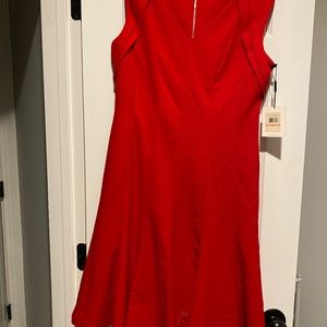 Calvinklein Dress